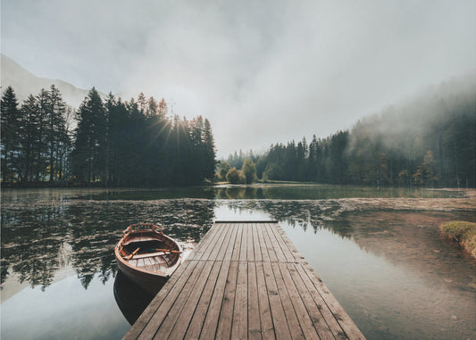 Foggy morning | Canvas