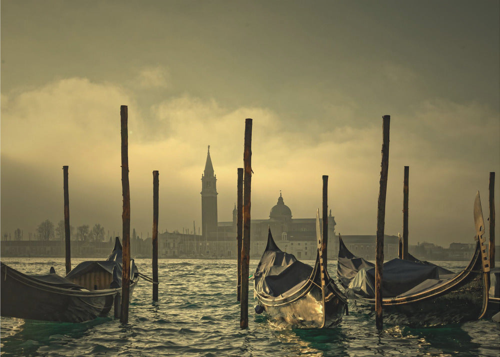 Light in the mist | Canvas