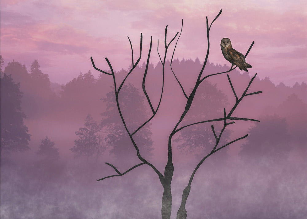 Pink Sky in the Morning | Canvas