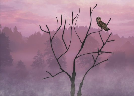 Pink Sky in the Morning | Canvas