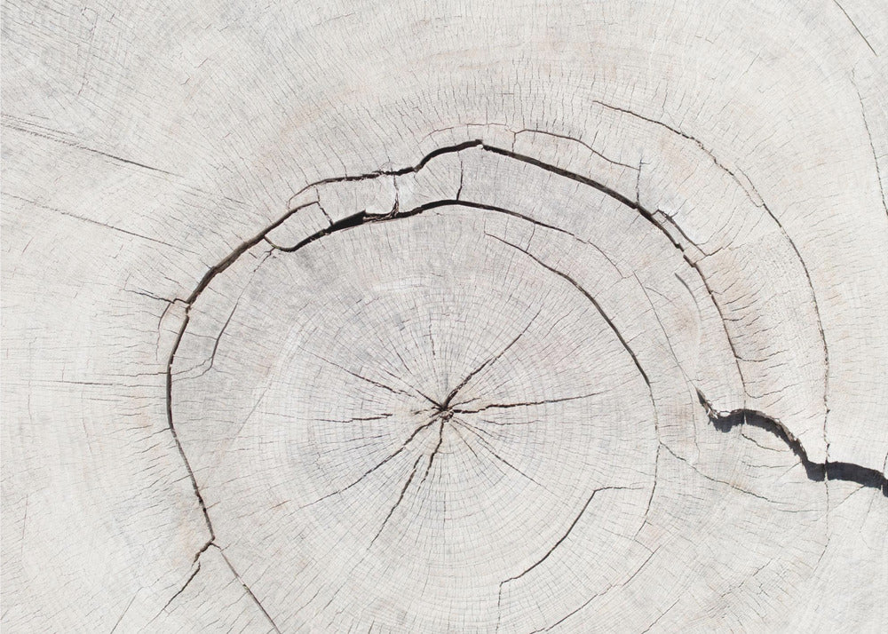 Texture 05 | Canvas