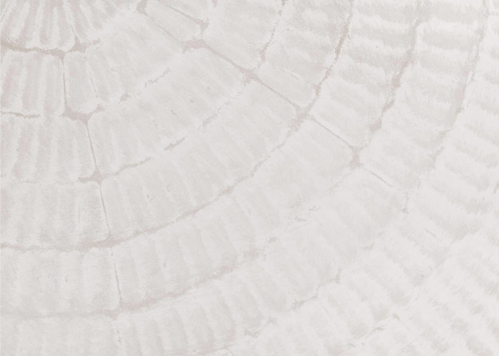 Texture 06 | Canvas