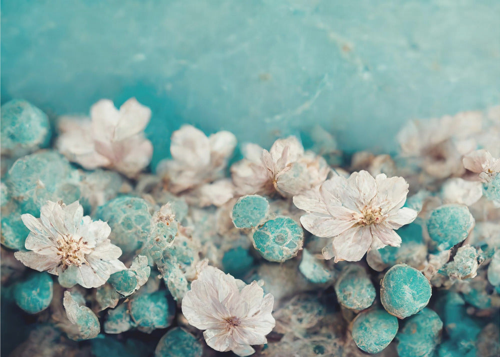 Aqua Blossom Dream | Wallpaper