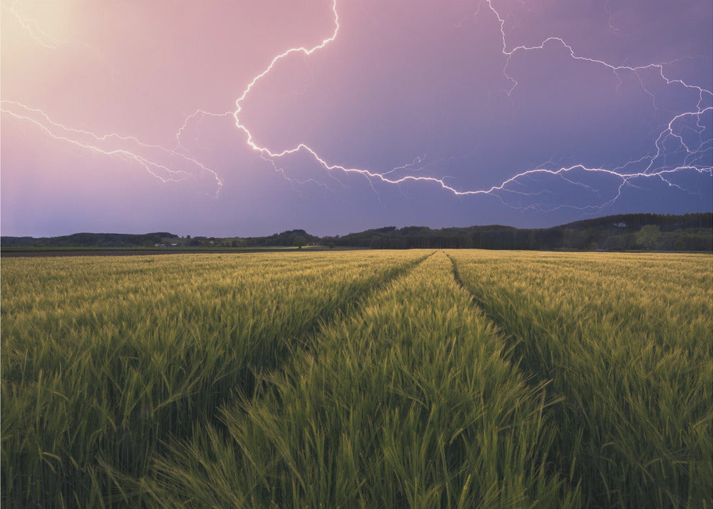Lightning | Poster