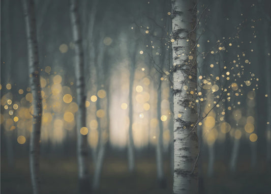 Enchanted Birches | Canvas