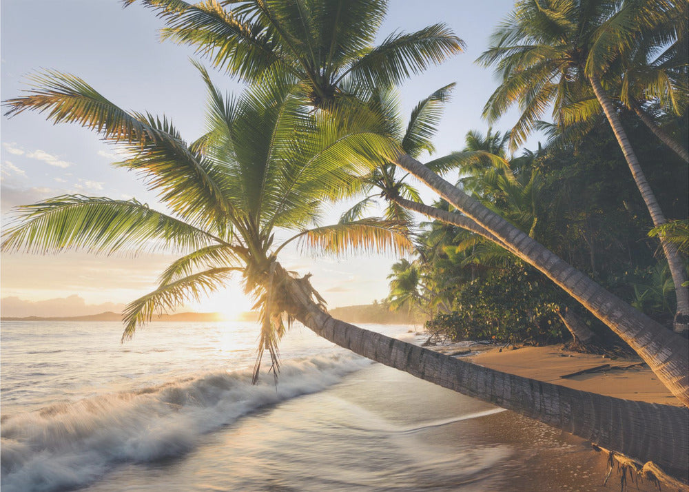Paradise Shore | Canvas