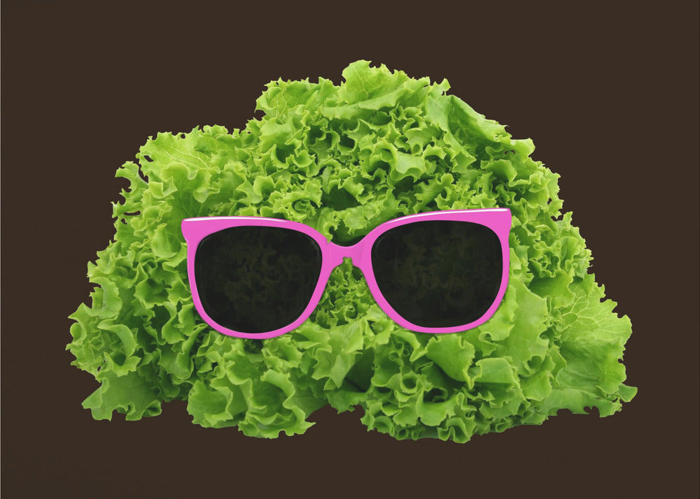 Mr Salad | Canvas