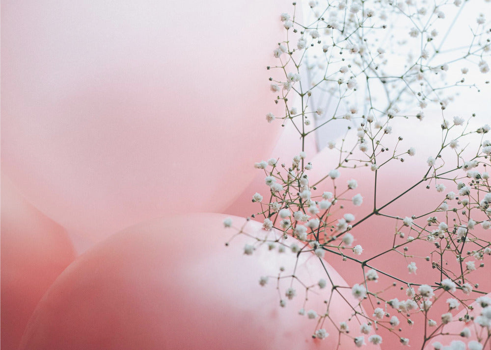 Blooms and Balloons | Canvas