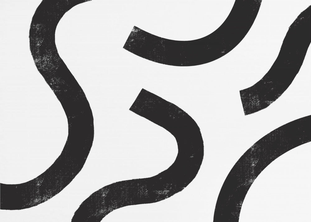 Monochrome Curves | Poster