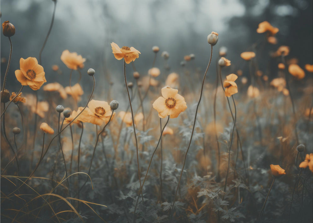 Golden Poppy Dream | Poster