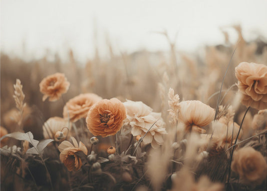 Petals in Sepia | Poster