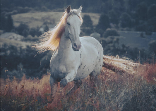 a short story about sunrise | Canvas