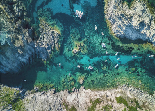 Busy summer | Canvas