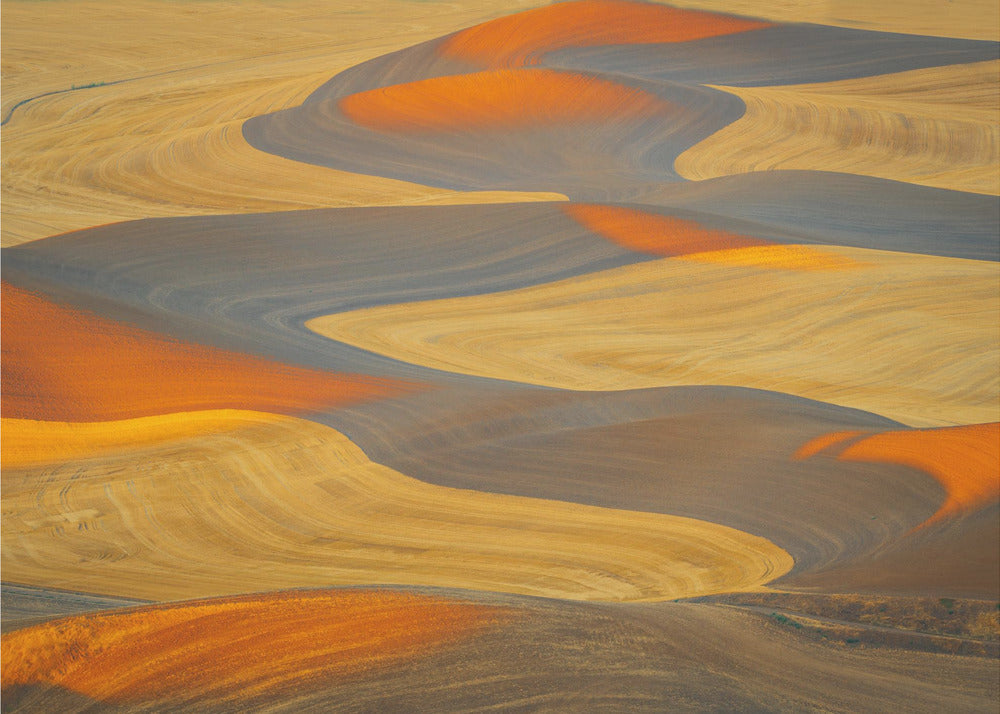 Painted Land | Canvas