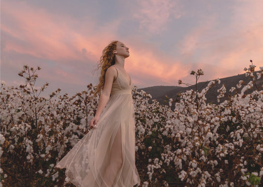 Sunset in the cotton field | Poster