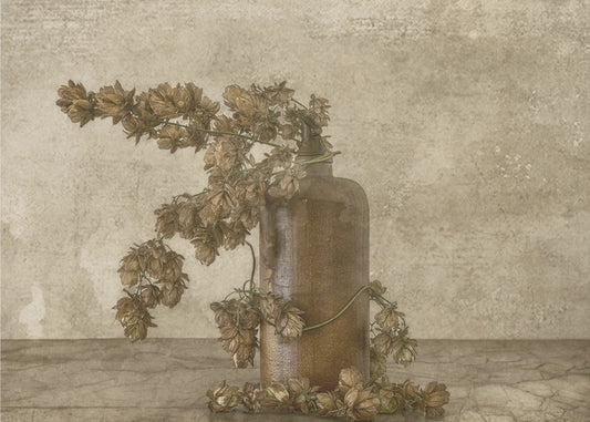 Common Hop 2 | Canvas