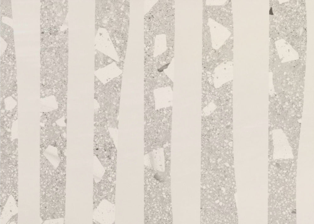 Birch Grove Shadows | Canvas