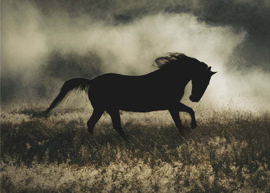 a short story about the morning glory | Poster