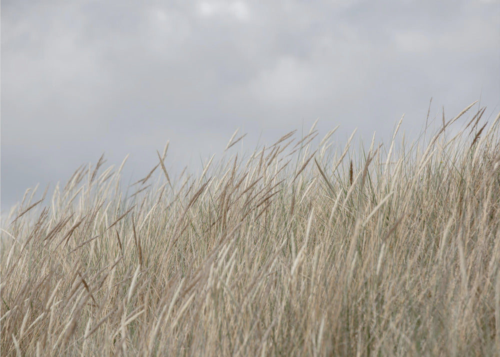 Dunes and Clouds | Poster