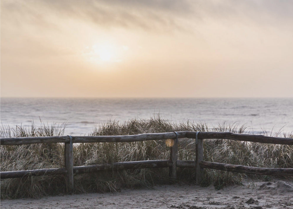 At the Coast 6 | Canvas