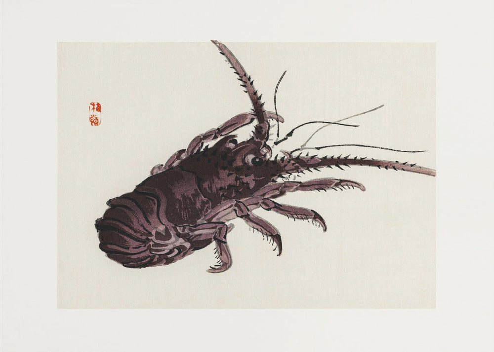 Crayfish | Canvas
