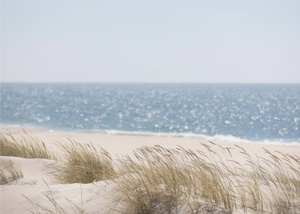 Coast Landscapes 3 | Canvas