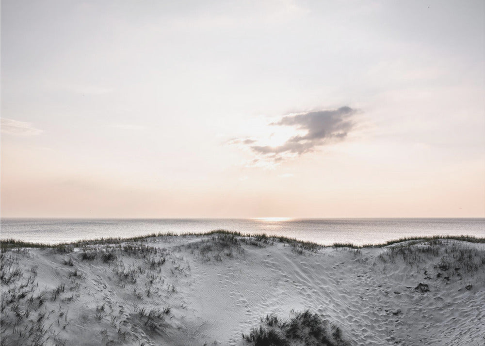 At The Coast 1X | Canvas