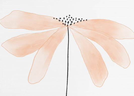 Delicate Peach Color Flower with Petals | Poster