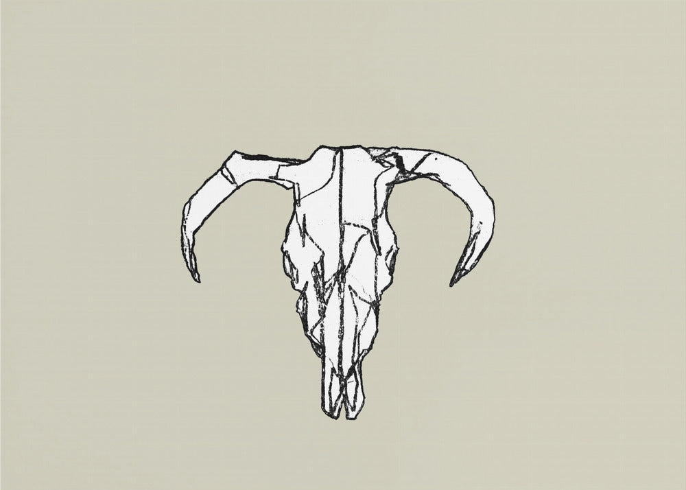 Animal Skull No2 | Poster