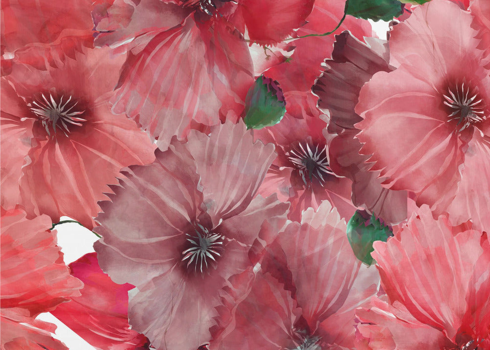 Big Red Flowers 2 | Canvas