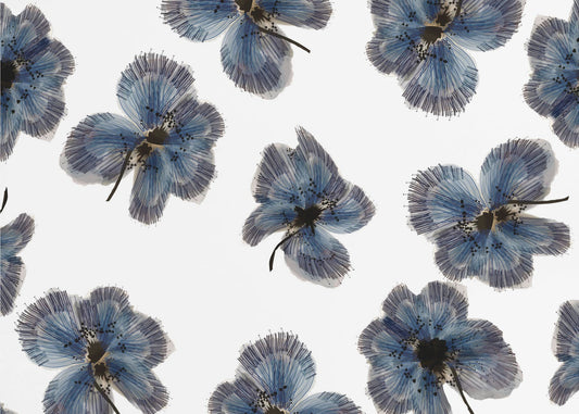 Navy Floral Mix | Poster