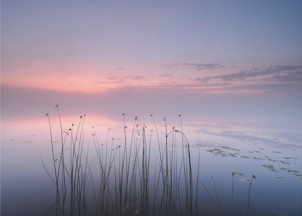 Lake | Canvas