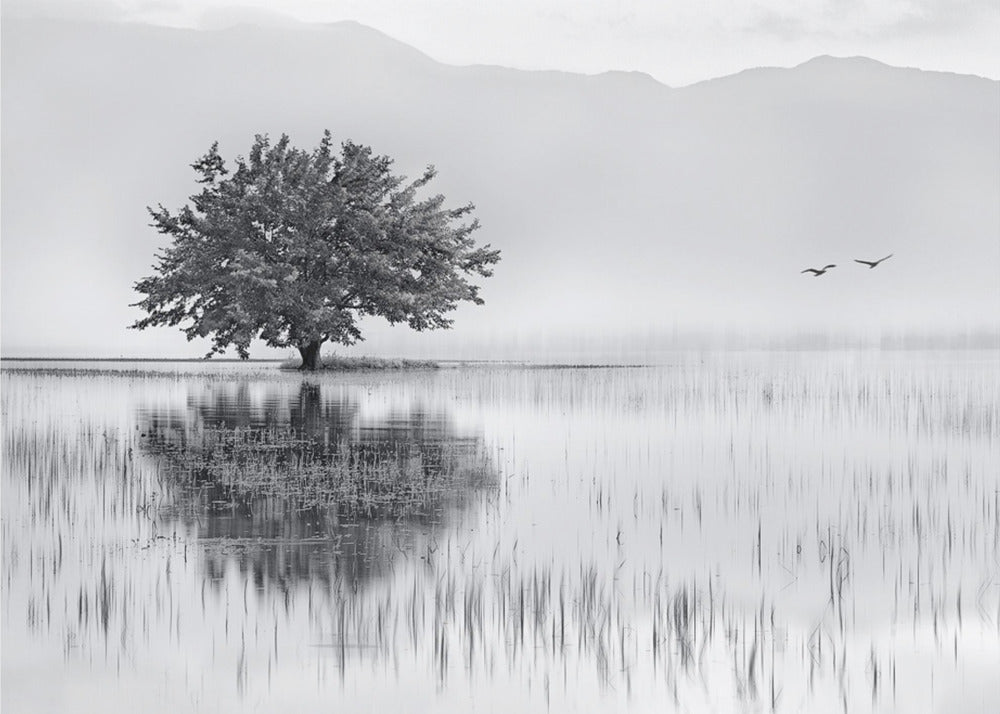 Spring Mirror | Canvas