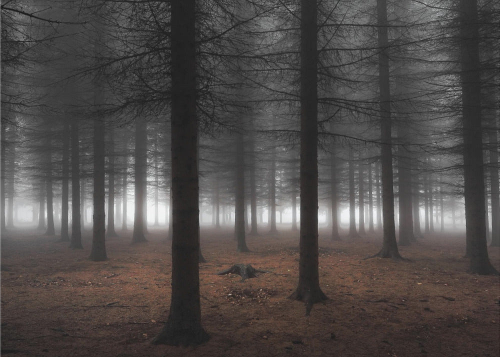 Silence | Canvas