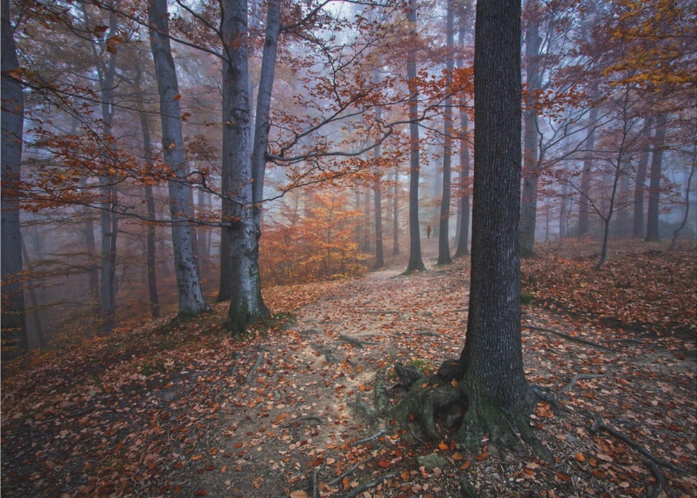 I was lost I was found | Canvas