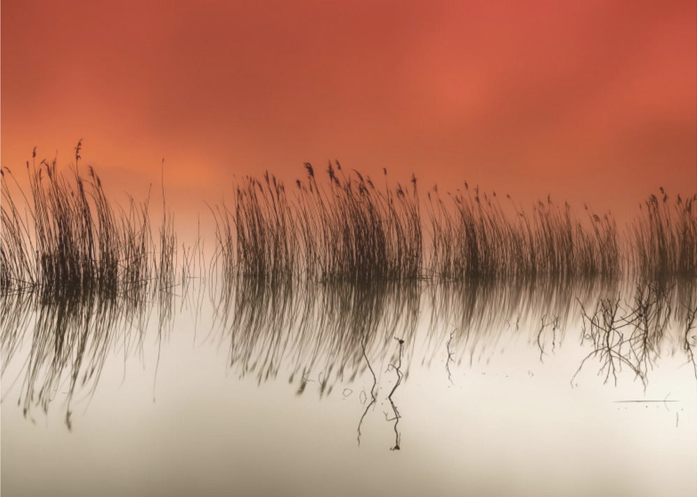 serenity | Canvas