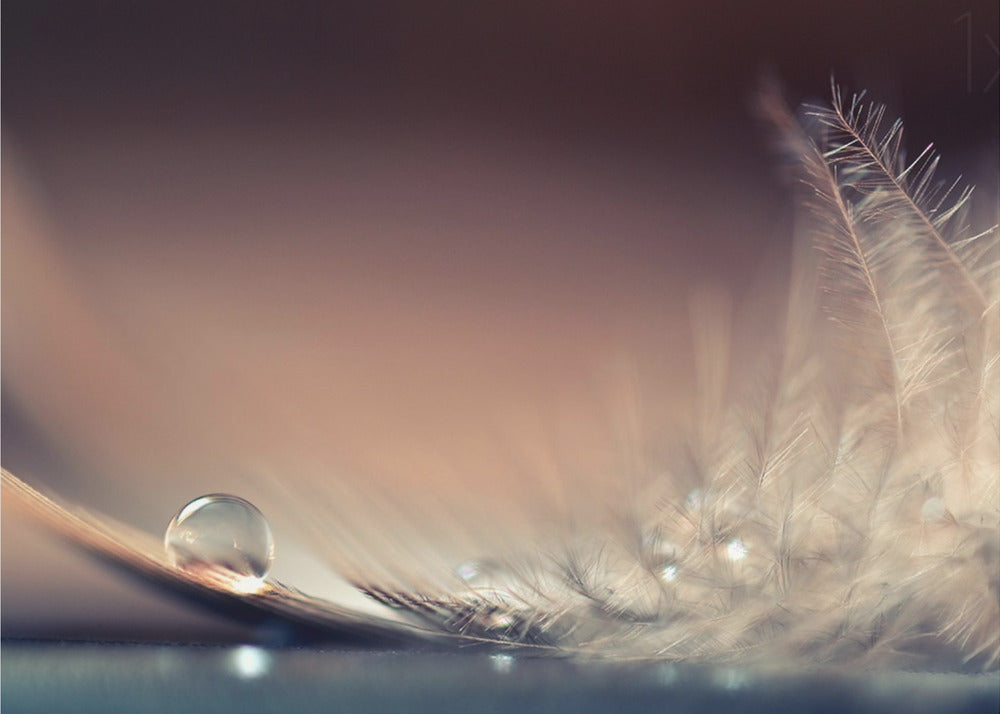 Stories of Drops | Canvas