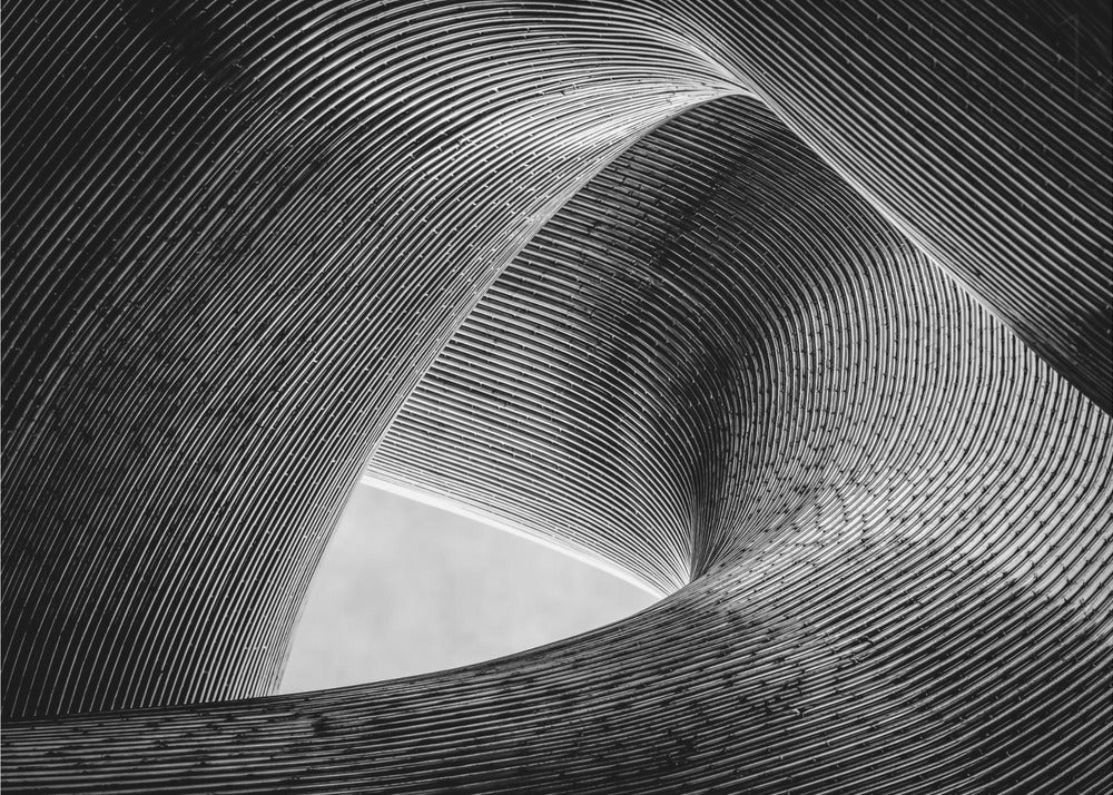 entwined | Canvas