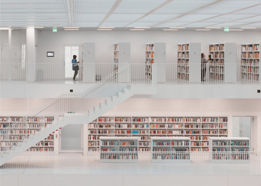 in the library, 2014 | Canvas
