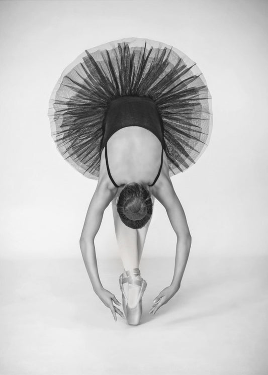 Ballet Technique | Canvas