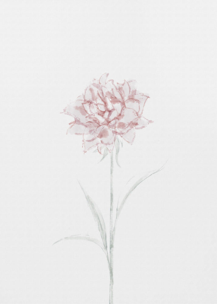 Peony 02 | Poster