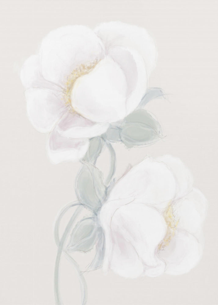 Lush Peony | Poster
