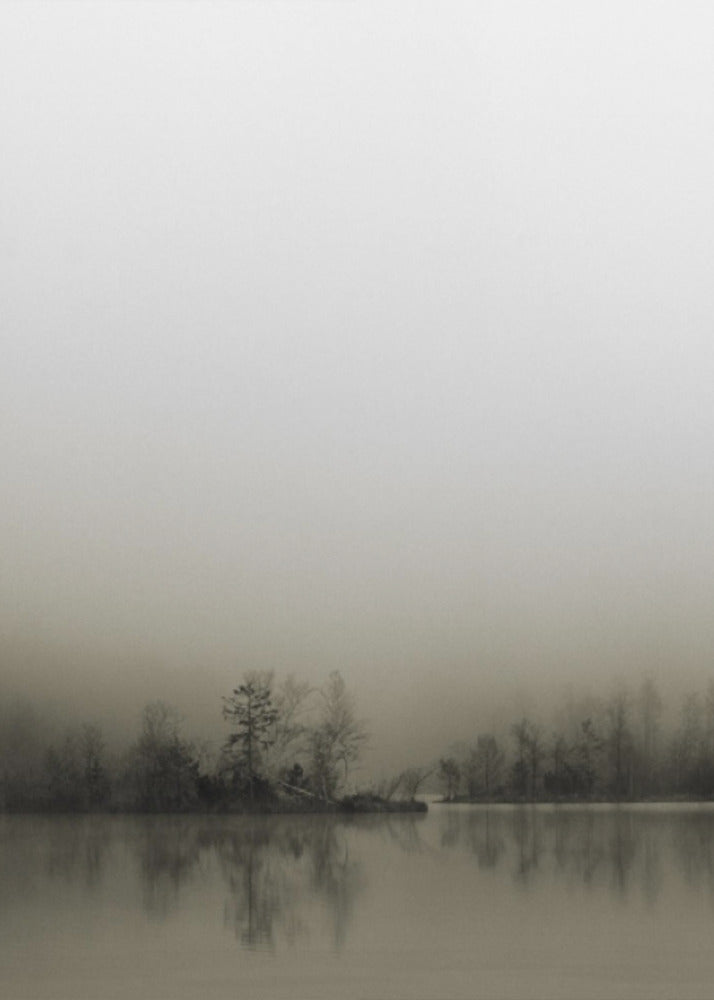 Diffusion | Canvas