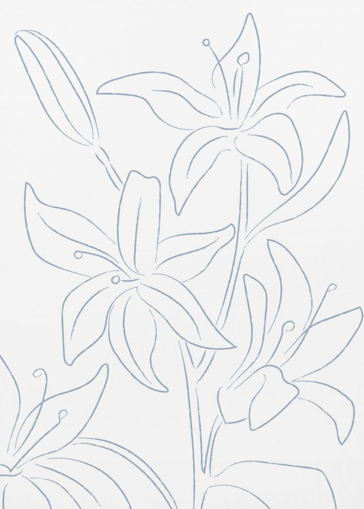 Lillies No 01 | Poster