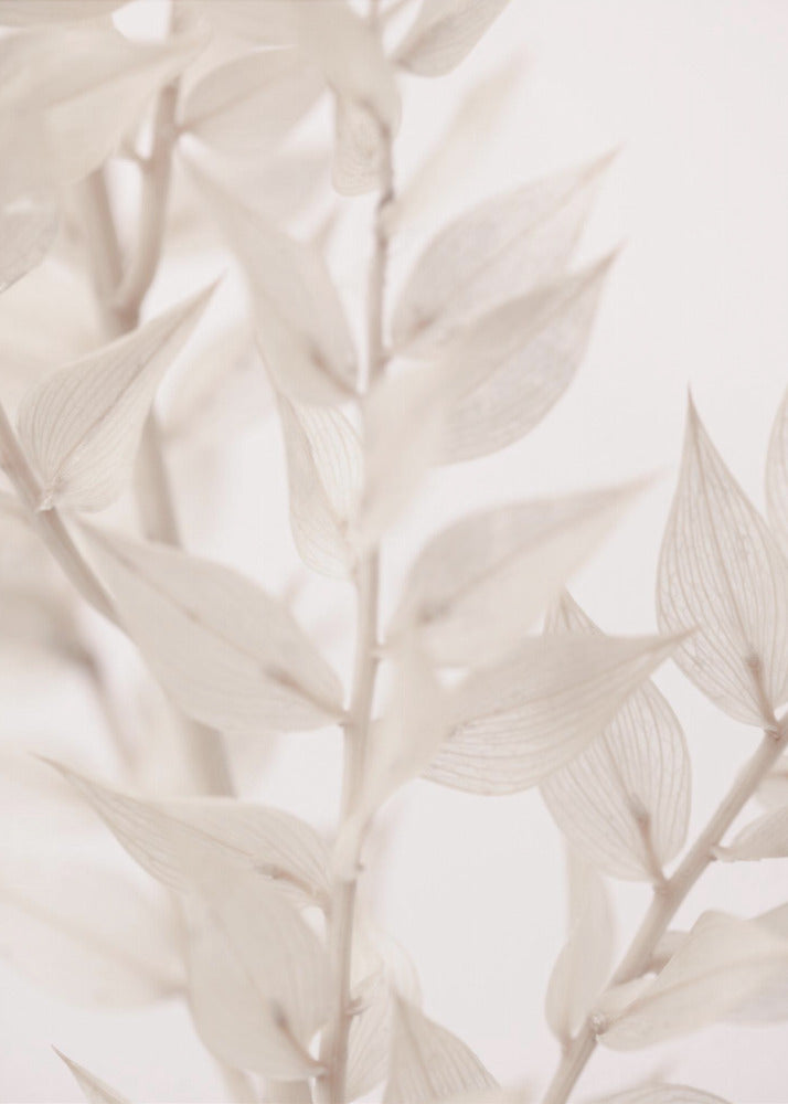 Dried Straws_3 | Poster