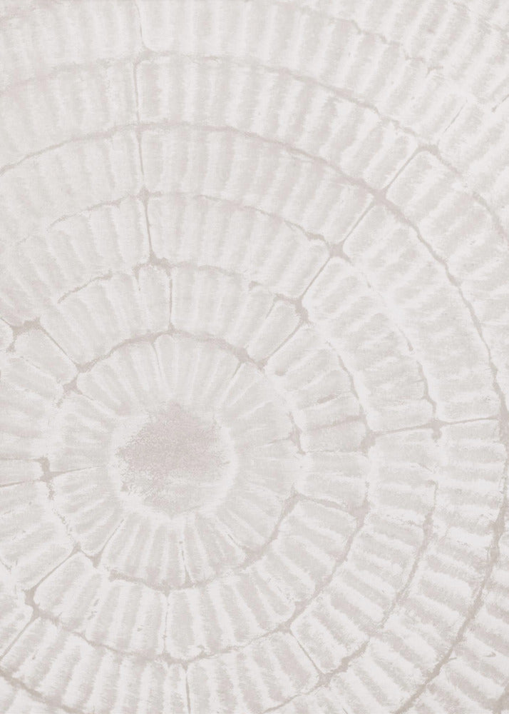 Pattern_plate_1 | Canvas