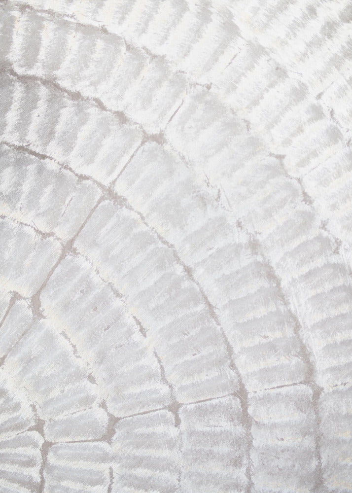 Pattern plate_grey_2 | Canvas
