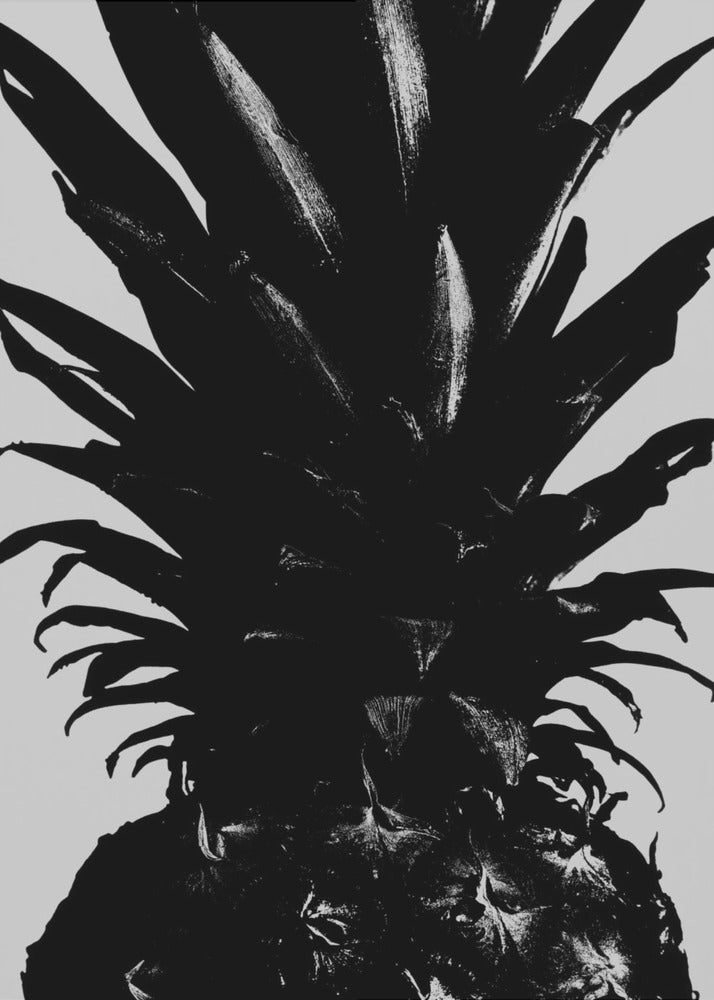 Pineapple bw | Canvas