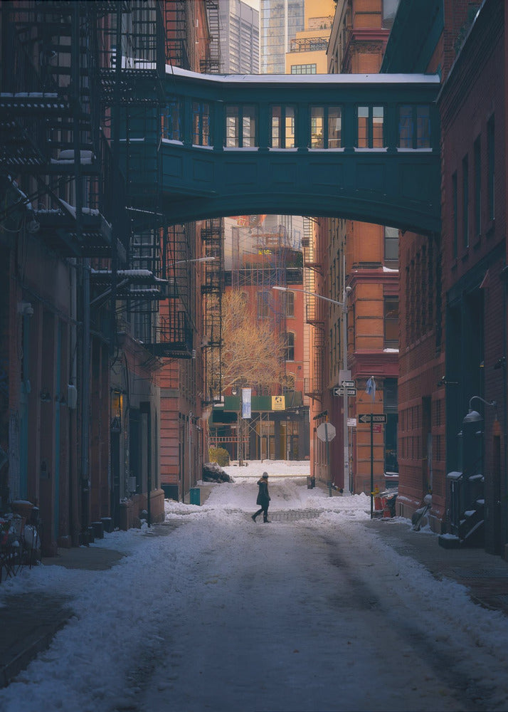 Under the Skybridge | Poster