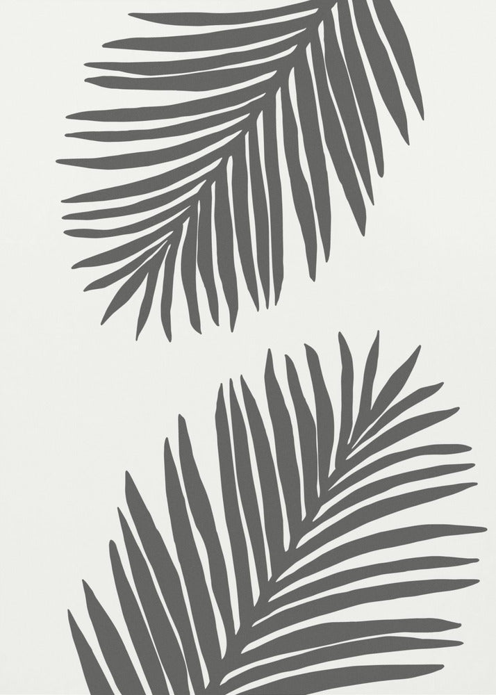 PALM LEAF 12 GRAPHITE GRAY | Poster
